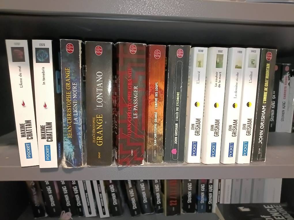 Libri: Divers romans policiers/thrillers – Usato da Les Rasses venduto da all_vml2