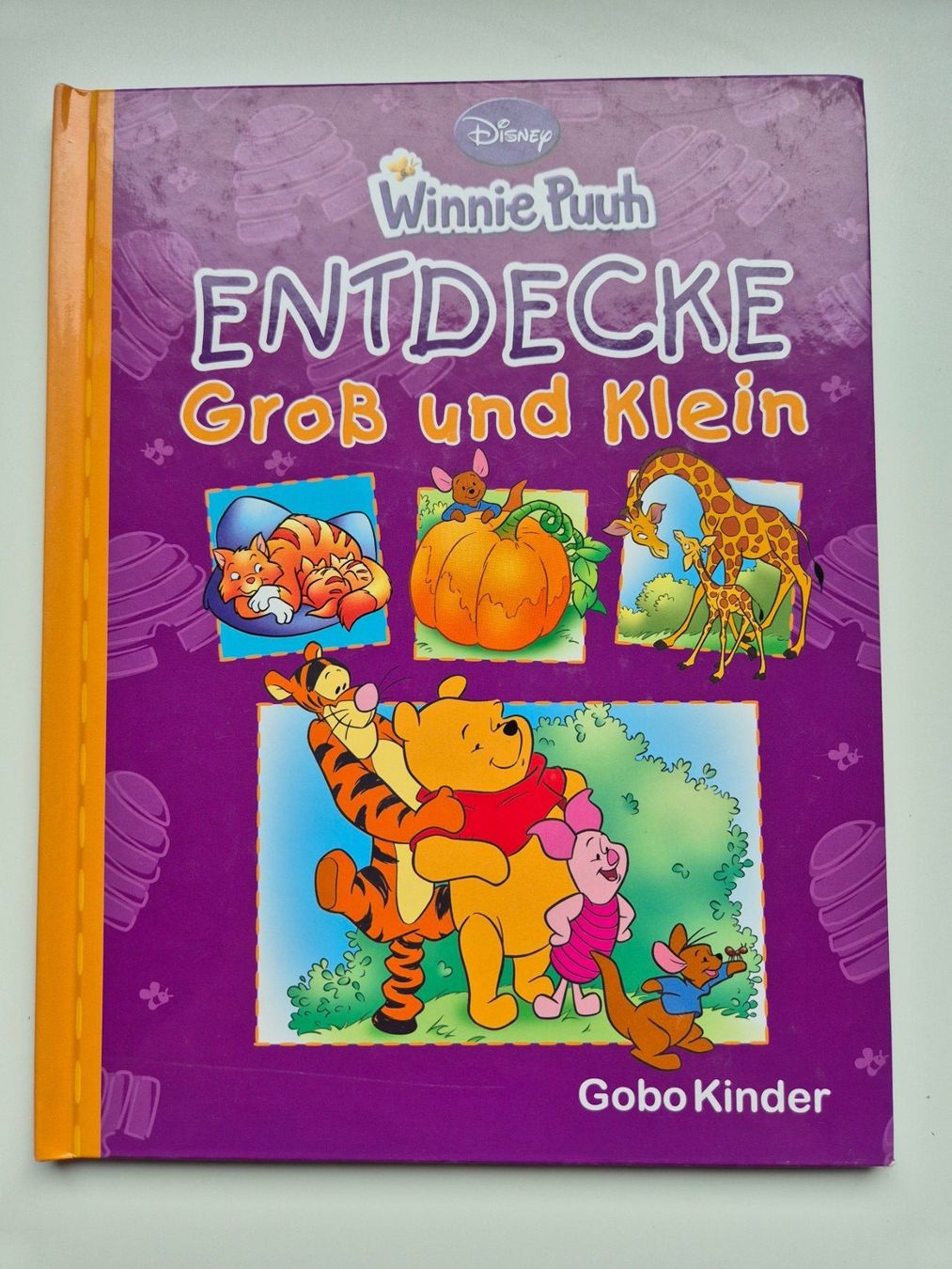 Libri: WINNIE PUUH   -   Entdecke gross und klein – Usato da Niederweningen venduto da Obson