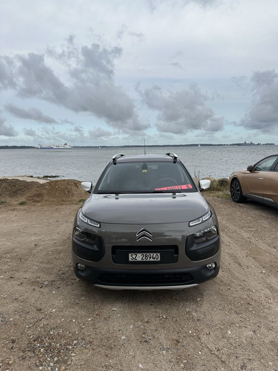 Citroën Autos: Citroen C4 Cactus Rip Curl – Gebraucht aus Wangen SZ von ang_vcw8 3