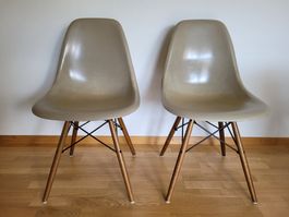 Eames Side Chair, 1950er, SEHR SELTEN, Zenith Plastics, USA