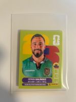 ECU 2/3/4/5/6/7/8/9/10/11/12/13/14/15/18/19 - Panini WM 2026