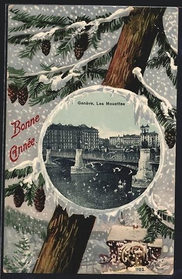 Cartoline postali: AK Genève, Les Mouettes, 1907 – Usato da Berlin venduto da bartko-reher