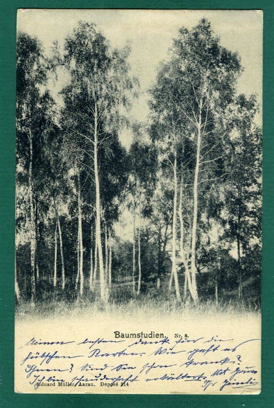 Ansichtskarten: Baumstudien Nr. 8, 1903, gelaufen – Gebraucht aus Sargans von Hausi1951