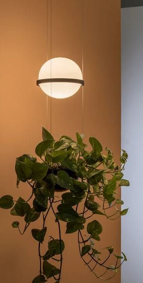Lampes: Vibia Palma 3724 Pendelleuchte – D'occasion à Rothenburg par Lampenoutlet 2