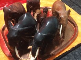 ELEFANTENHERDE/GLÜCKSBRINGER 9 DIESER GROSSARTIGEN TIERE 🐘