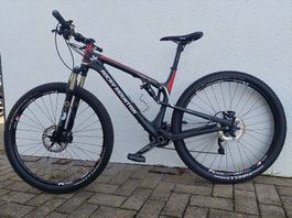 Fully Mountain Bike Gr. L von Rocky Mountain 29 Zoll