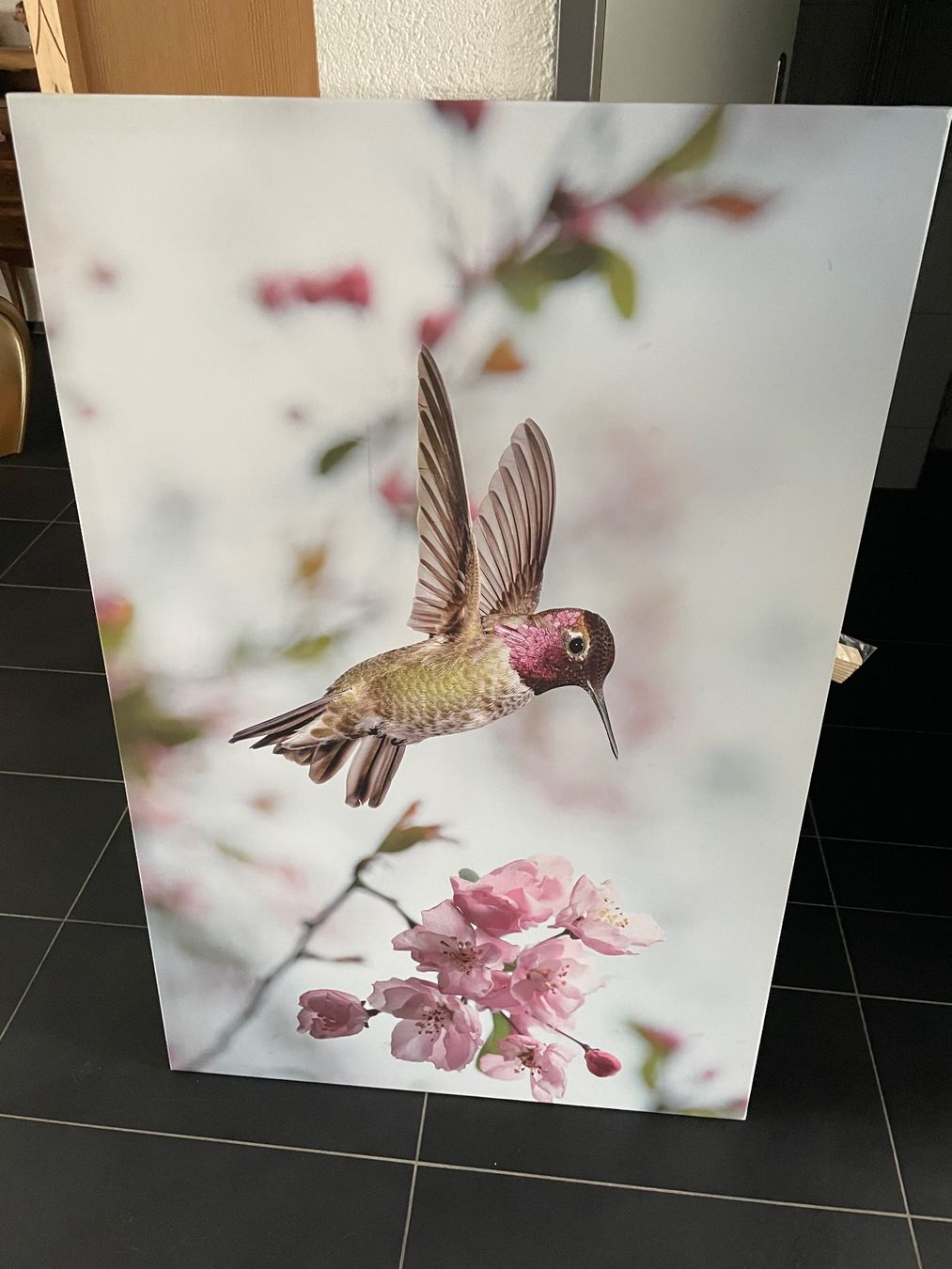 Poster & Bilder: Schönes XL Leinwandbild Kolibri – Gebraucht aus Sirnach von sirni 4