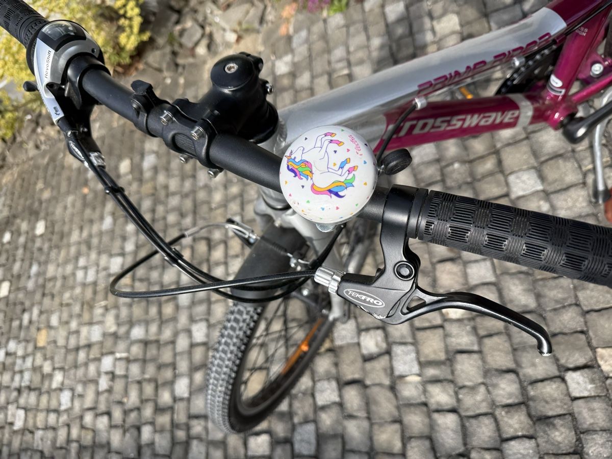 Crosswave Biciclette: 20” Crosswave velo  – Usato da Meggen venduto da Petra-Arte 7