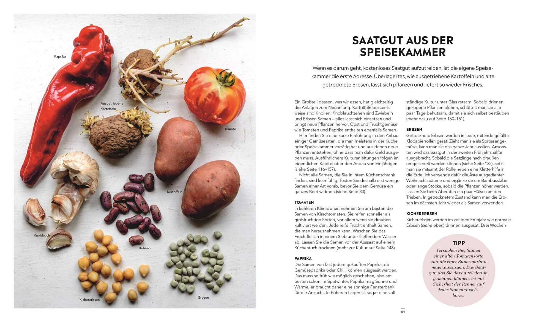 Libri: Frische Ernte zum kleinen Preis – Nuovo (secondo la descrizione) da Neuchâtel venduto da Dualseele 6