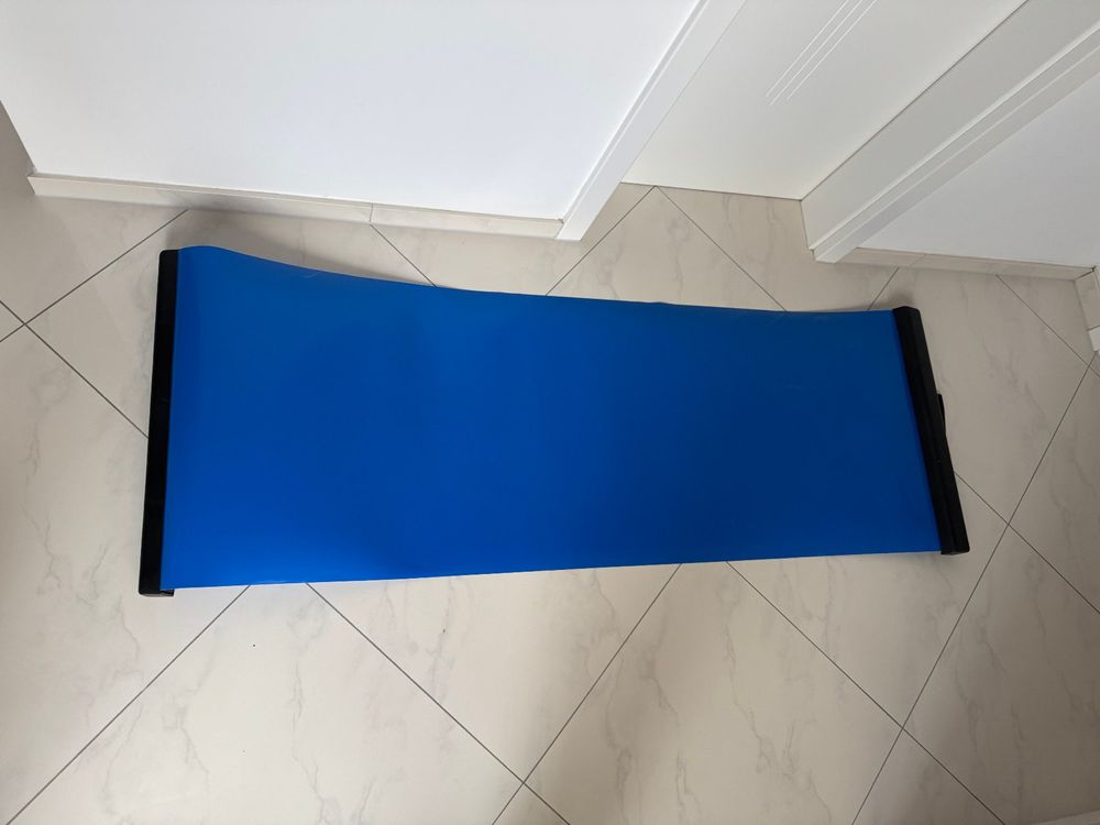 Exer-Slide, Gymstick Power Slider Board, Ganzkörpertrainer (Gebraucht ...