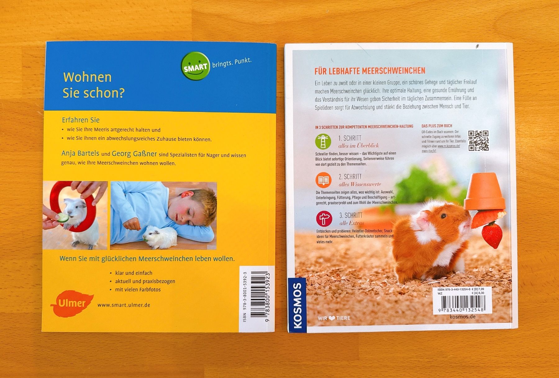 Bücher: 2 Meerschweinchen Bücher "Wohnen" & "Halten" – Gebraucht aus Muttenz von denise06 1