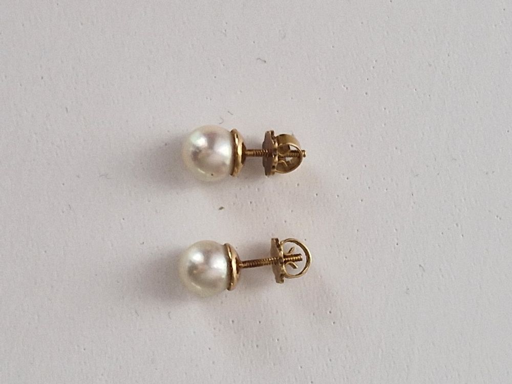 Perlohrstecker Jeremy