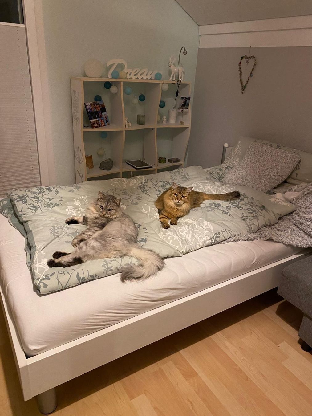 Lits: Bett inkl. Lattenrost – D'occasion à Courtaman par Nikki22