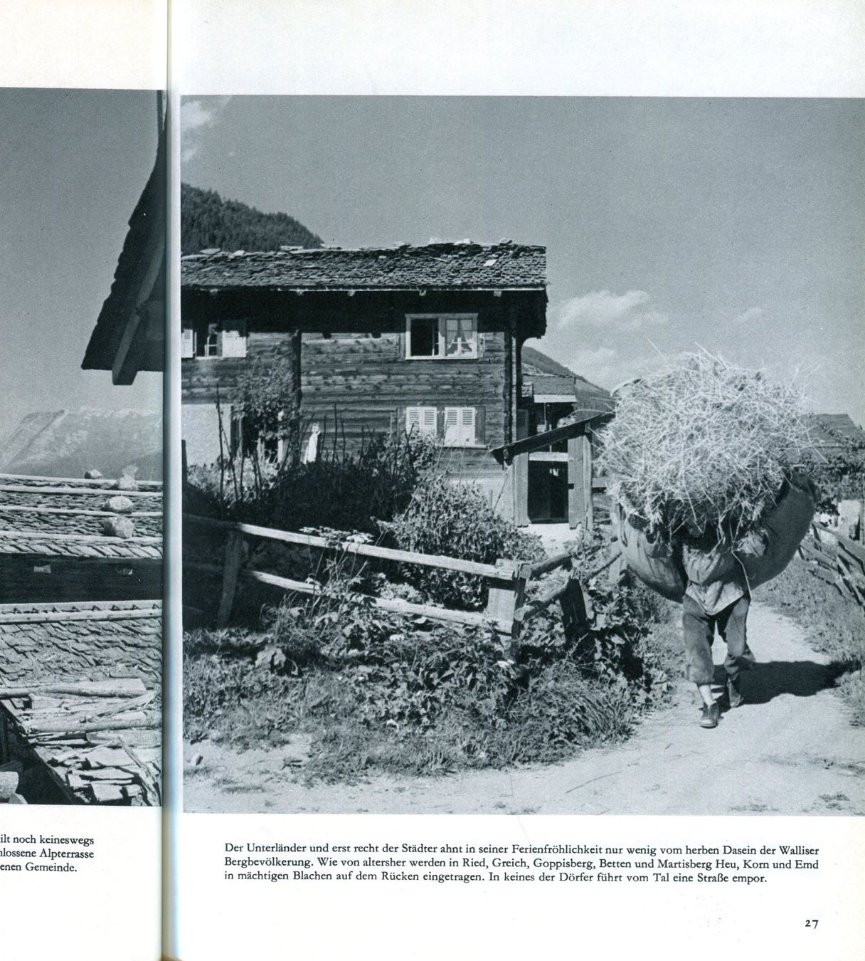Libri: Aletsch, Aletschgletscher, Schweizer Heimatbuch – Difettoso da Aarau venduto da Elmaar41 3