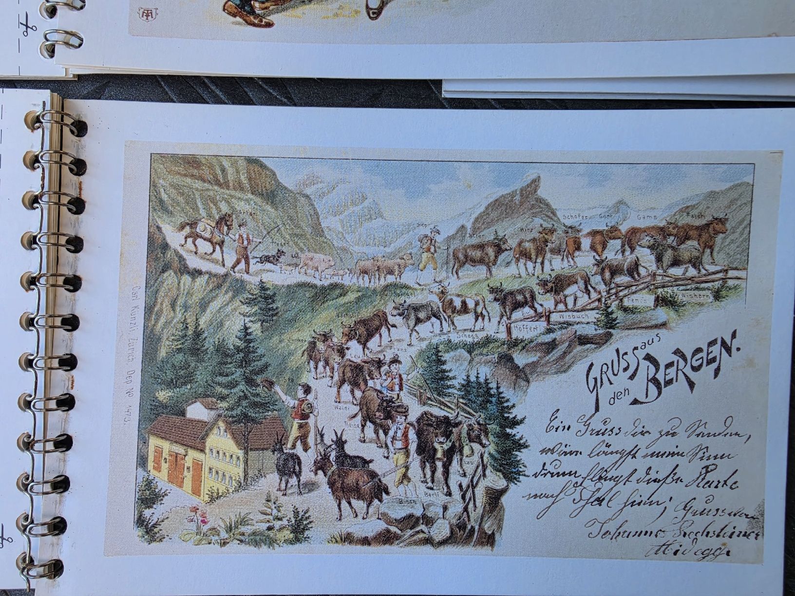 Ansichtskarten: Ansichtskarten Appenzellerland 10STK postkarten – Neu (gemäss Beschreibung) aus Wil SG von Athi 6