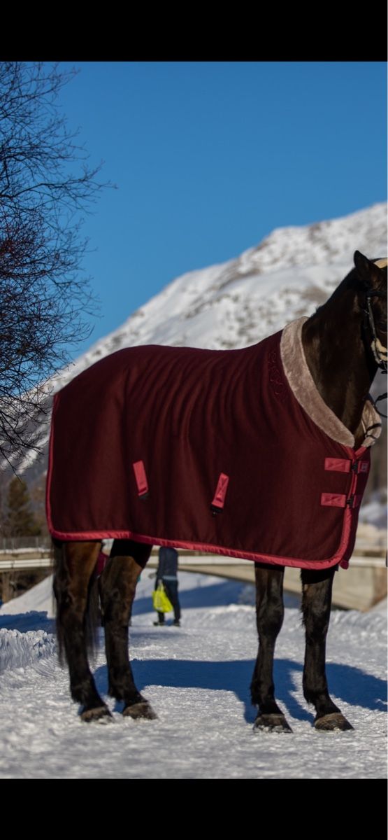 Eskadron Coperte: Eskadron Abschwitzdecke 145cm – Usato da Hütten venduto da leo_nsw9