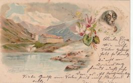 Alte Ansichtskarte St. Bernhard Hund Landschaft Alpen 1899