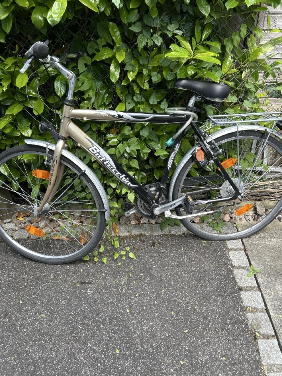 Biciclette: Men bike Bottecchia, used condition. – Usato da Arlesheim venduto da gio_sg79