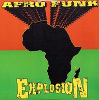 Various - Afro Funk Explosion (2xLP, Comp, Unofficial)