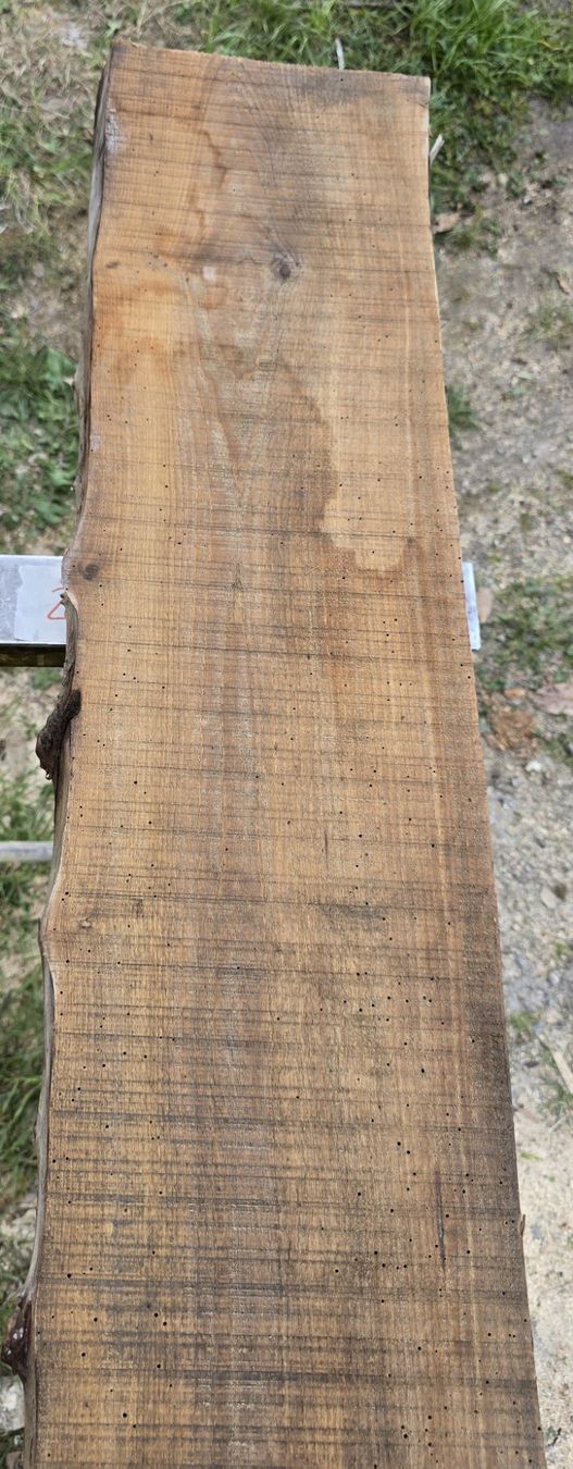 Holzartikel: Altes Holzbrett – Gebraucht aus Rorschacherberg von snOOpydOg11 5