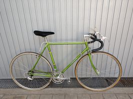 Cresta Rennvelo in Grün RG  55cm Gr M