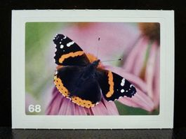 MIGROS MANIA Nature Detectives Nr. 68