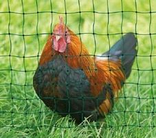 Hühnerzaun Katzenzaun 25 m DS grün