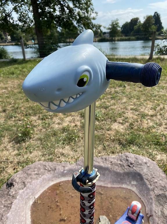 Kickboard: Micro Maxi Scooter trotti mit coolen accecoires – Gebraucht aus Wangen an der Aare von zarteflunder 2