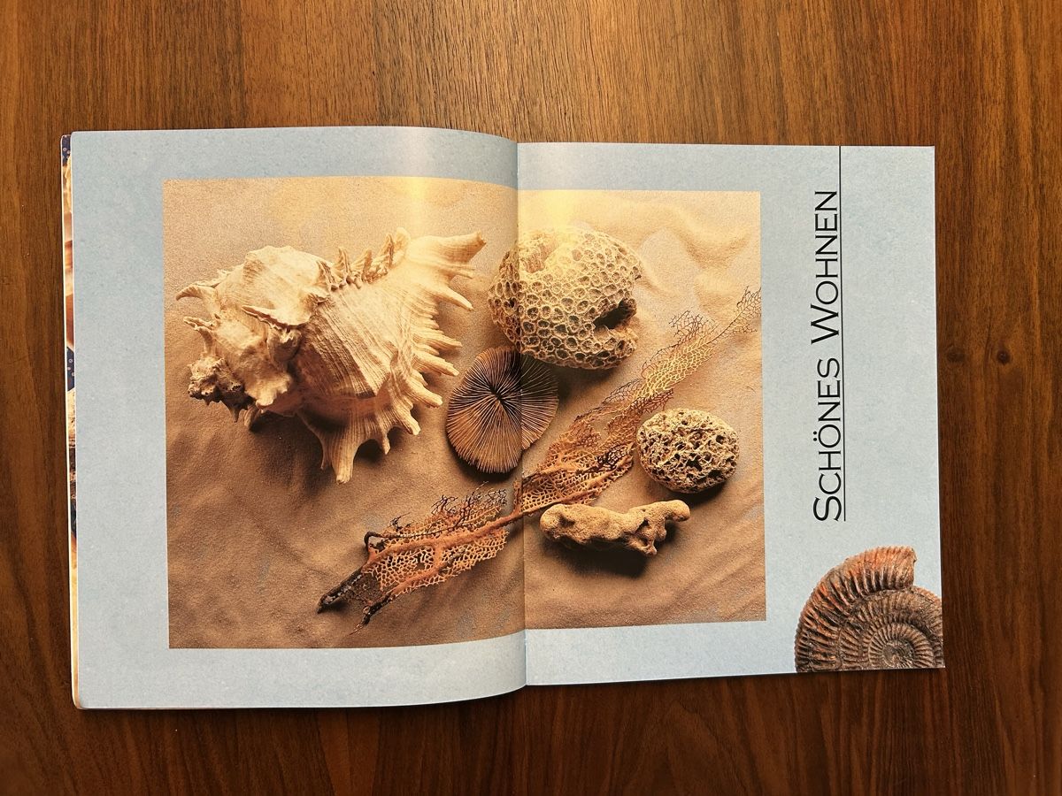 Libri: Muscheln, Sand und Steine – Usato da Dürrenäsch venduto da chinook65 2