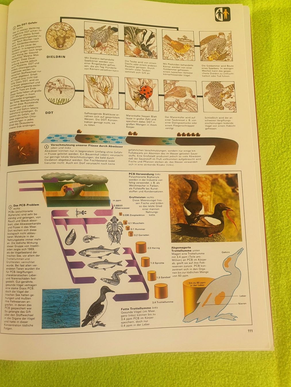 Libri: Grosser Atlas der Erde SILVA – Usato da Steinhausen venduto da joseph-sen 8
