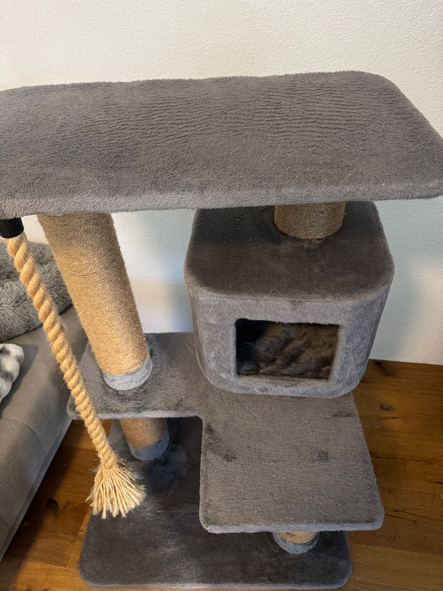 Tiragraffi: Katzenbaum – Usato da St. Gallen venduto da sla_kxb6 1