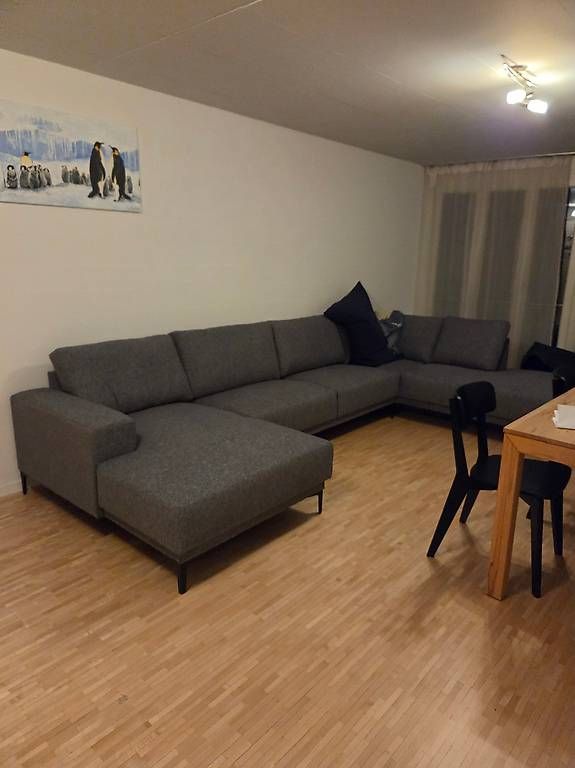 Divani: Neues 3-teiliges Sofa (ungebraucht) – Usato da Seuzach venduto da lin_m6m5