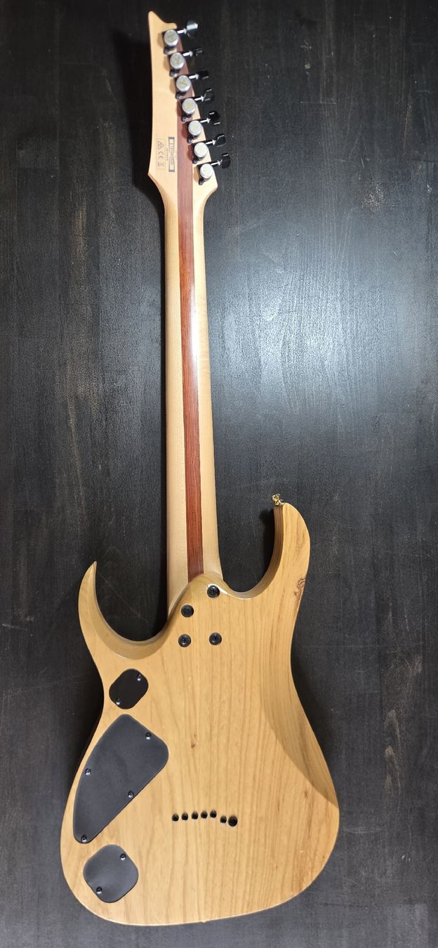 Strumenti musicali: Ibanez RGDIX7MPB Iron Label 7 String, Surreal Blue Burst – Usato da Thörigen venduto da tomee 1