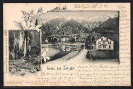 Bönigen, Strassenpartie am See mit Berg