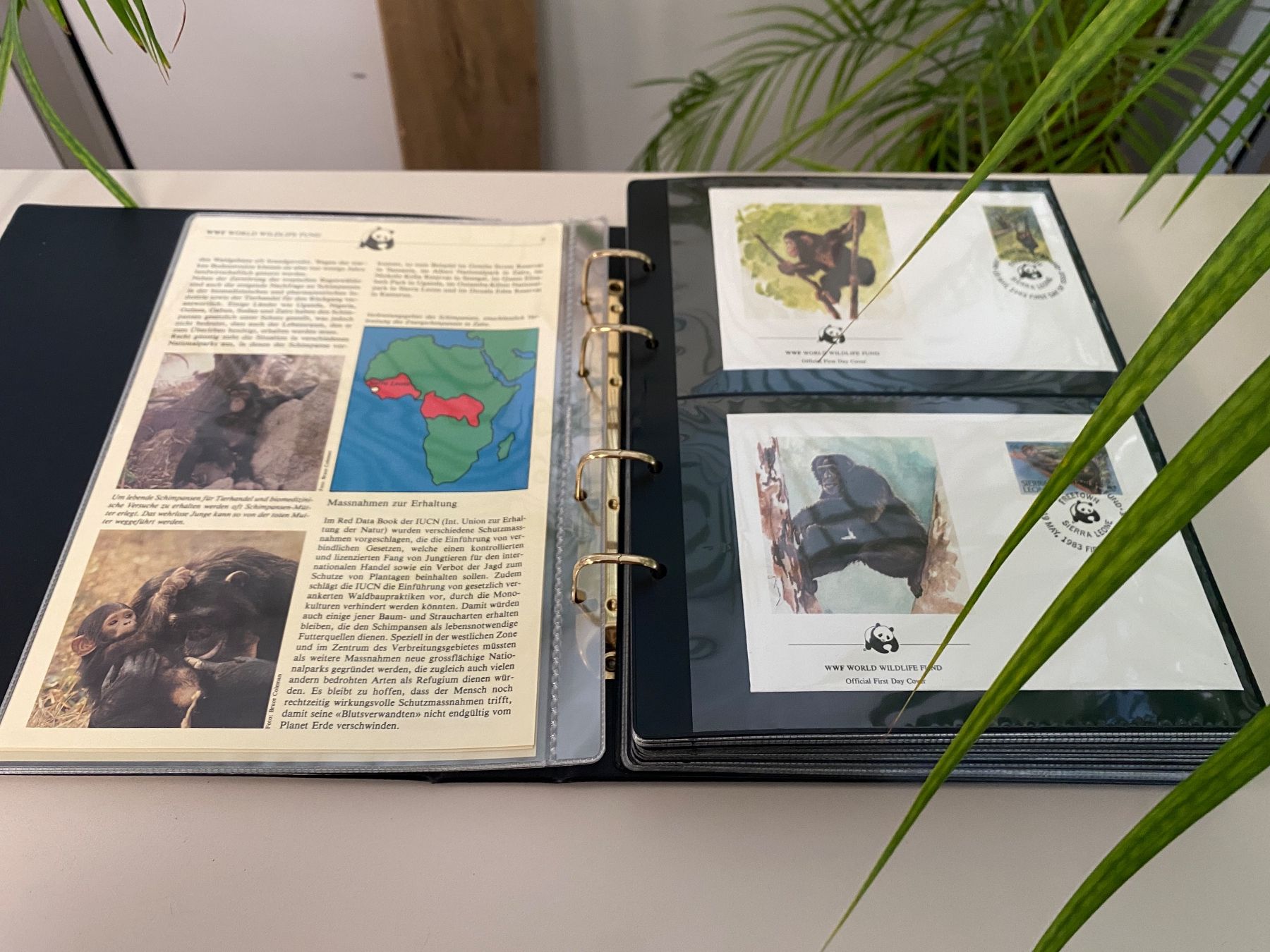 WWF Album: Briefmarkensammlung - WWF – Usato da Brügg BE venduto da doppelsalchow 1
