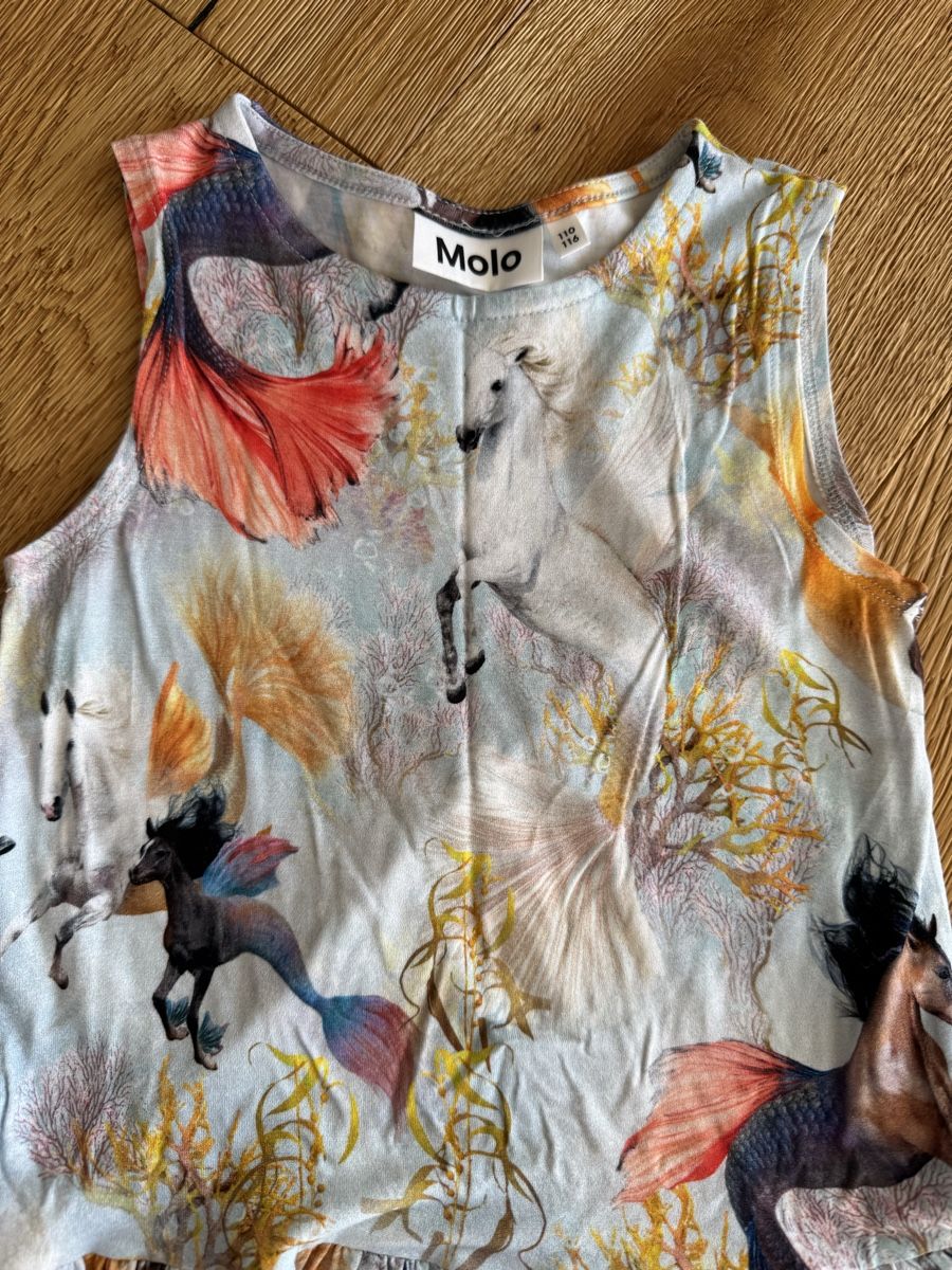 Molo Kleider & Röcke: Neu Molo Kleid mit Gr. 110/116 – Neu (gemäss Beschreibung) aus Balgach von zreredein 1