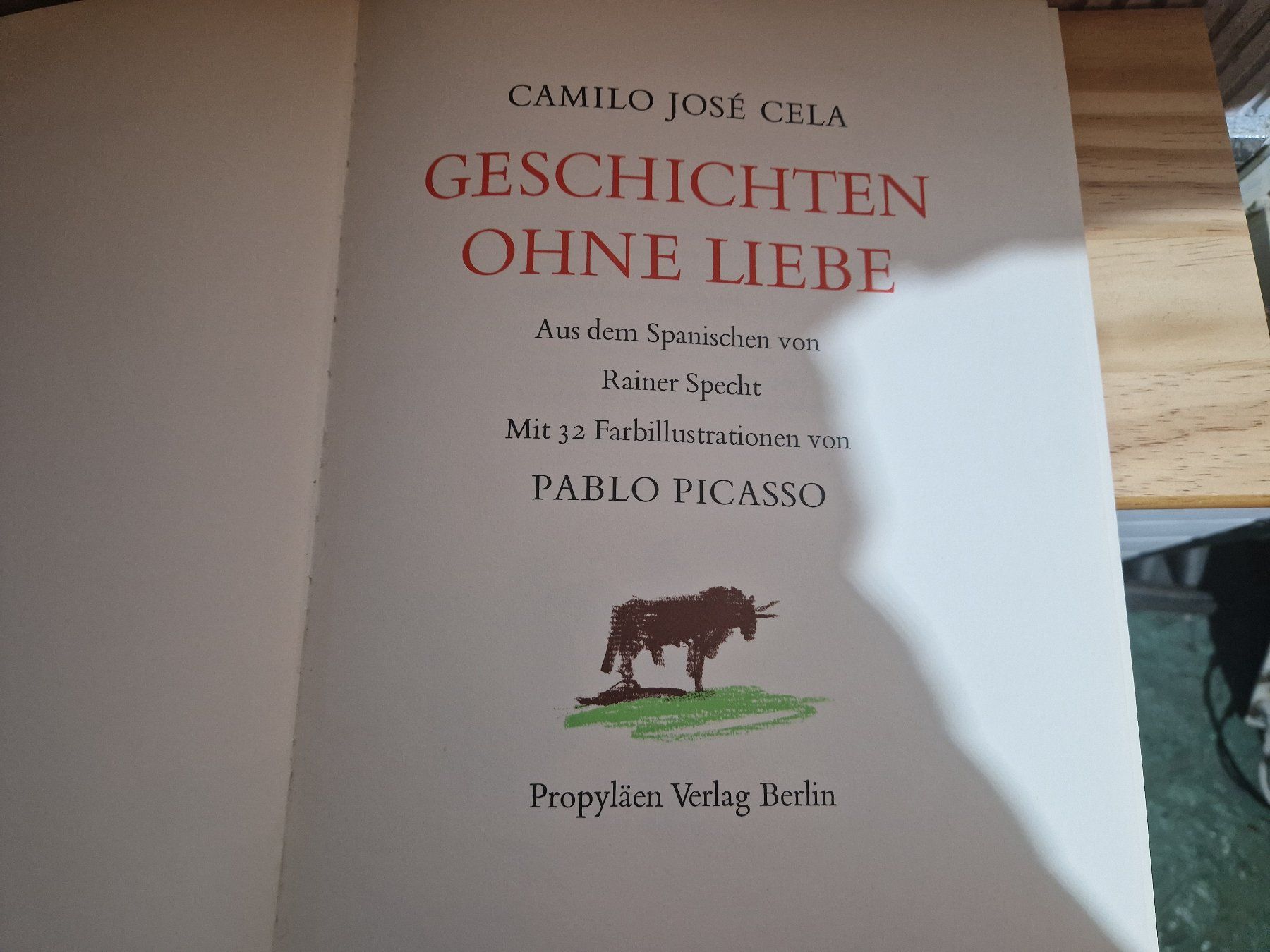 Libri: Picasso Buch "Geschichten ohne Liebe" – Usato da Seedorf BE venduto da Stibutz 1