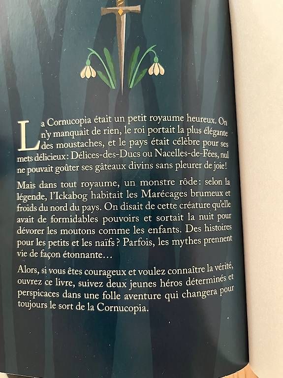 Libri: L'Ickabog  – Usato da Champagne venduto da Marie2108 2