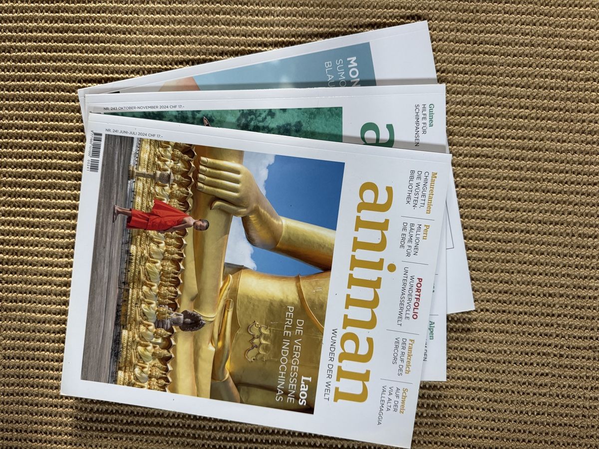 Revues & Magazines: Animan – D'occasion à Carabbia par Kiwi.2012 1
