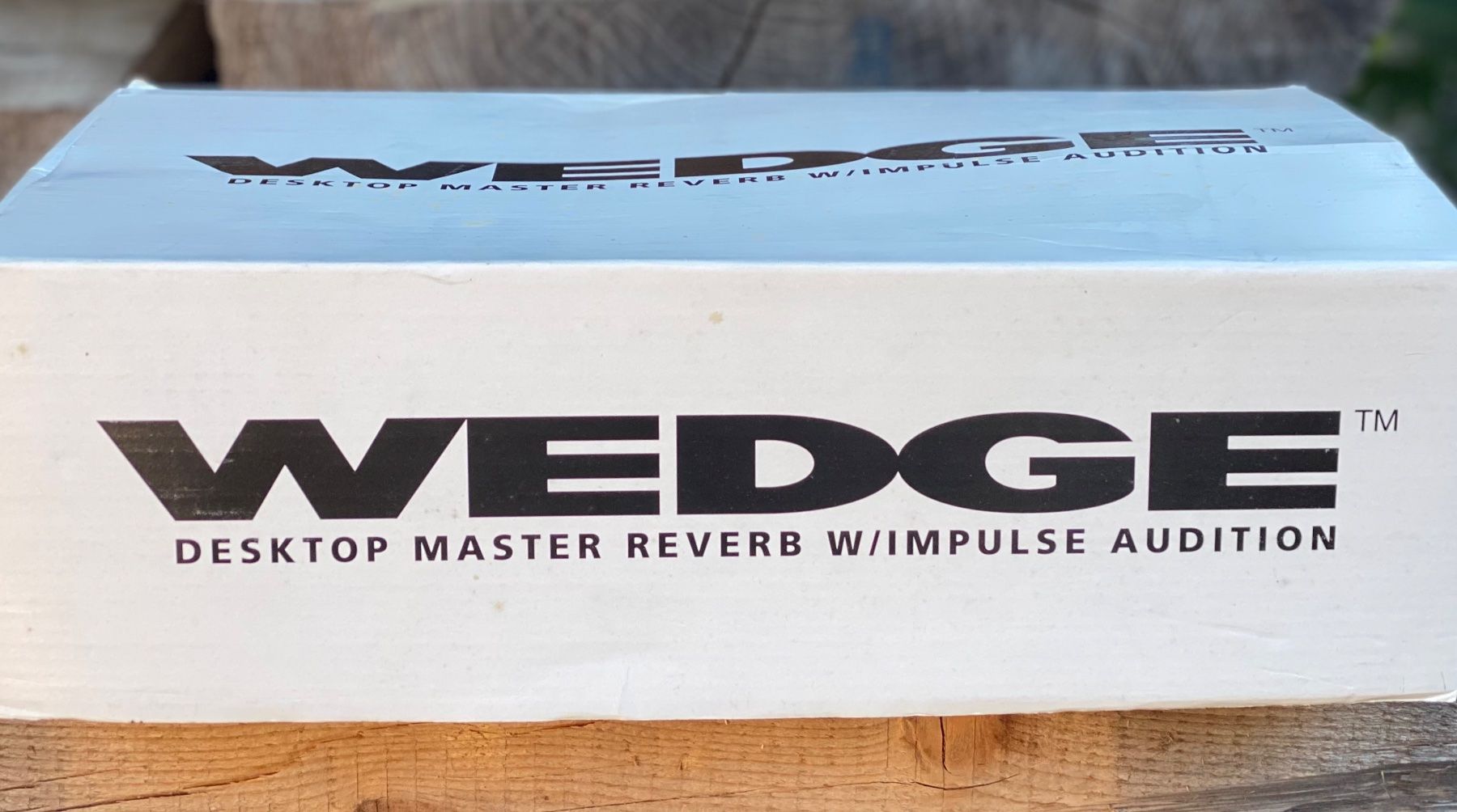 Alesis Strumenti musicali: Alesis Wedge digitales Hallgerät – Usato da Wirzweli venduto da Kreonides 2
