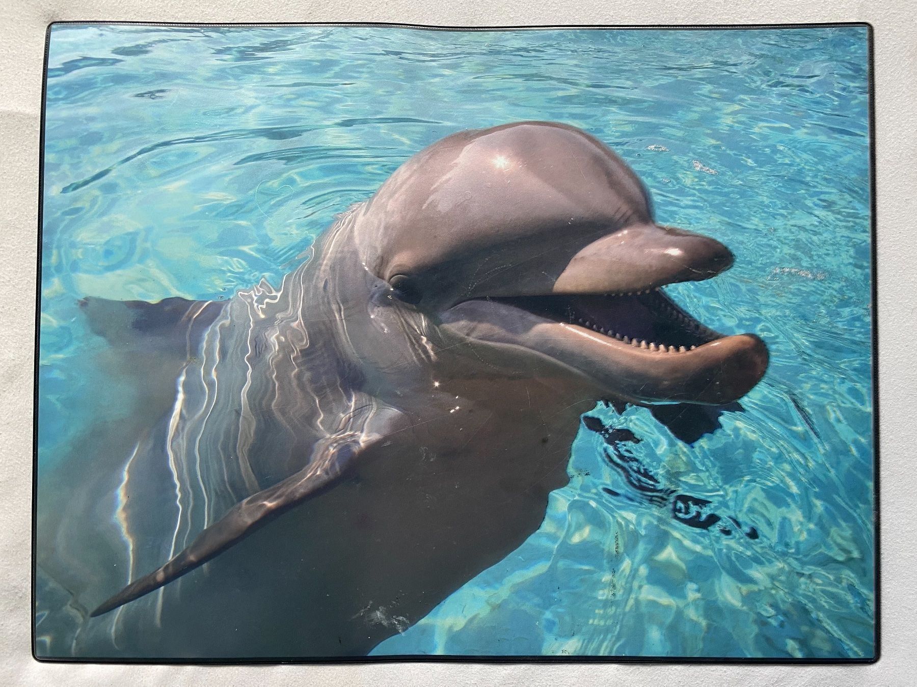 Blocchi: Schreibmappe/Schreibunterlage Delfin – Usato da Altendorf venduto da Jeshy15