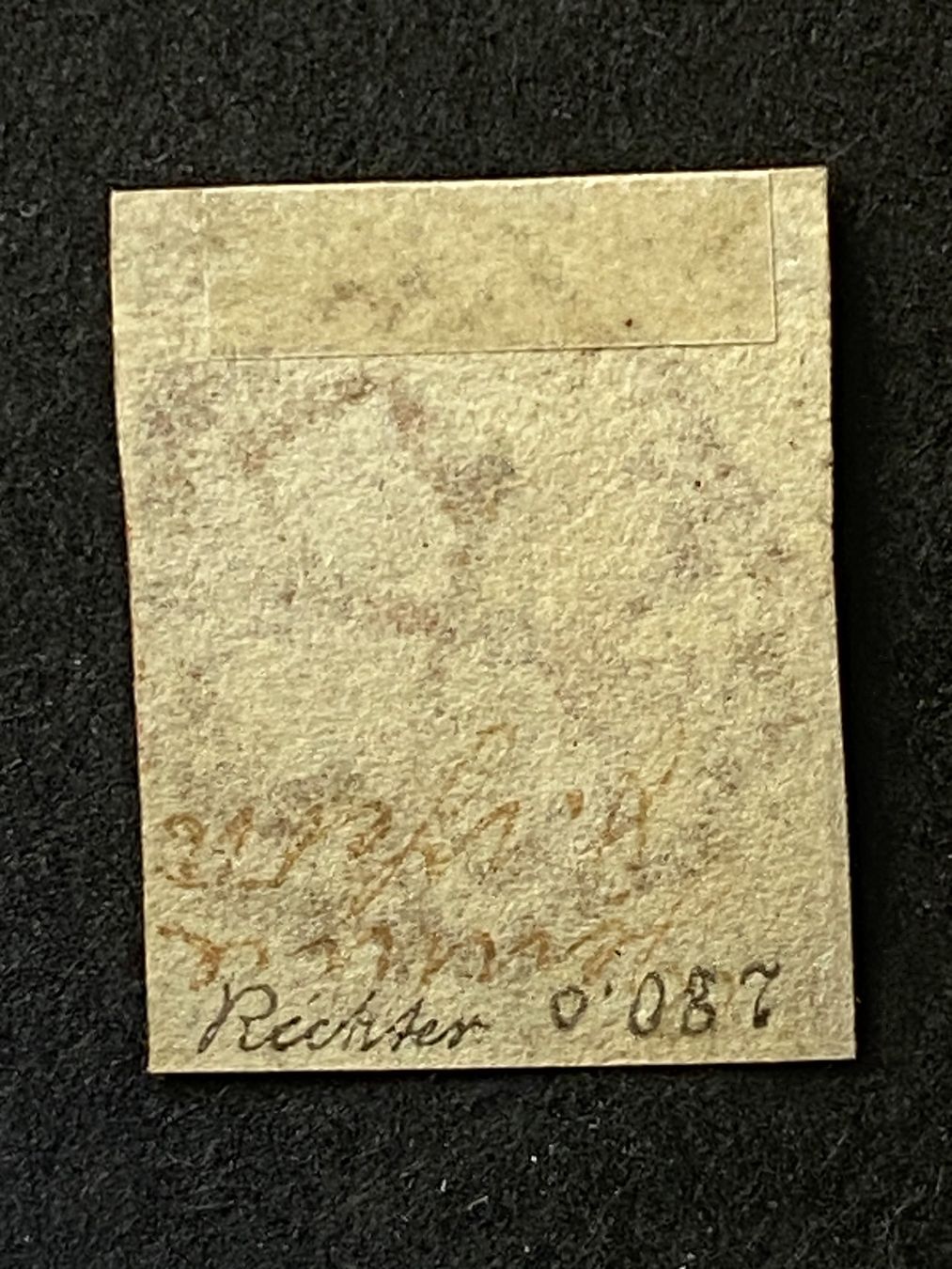 Deckeldichtung für Xceed Topcase
