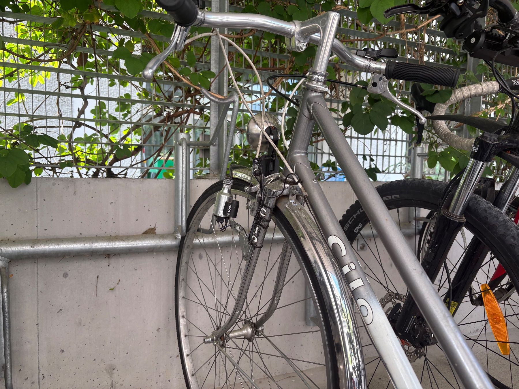 Cilo Velos: Cilo Damenfahrrad – Defekt aus Chur von _Nadine. 3