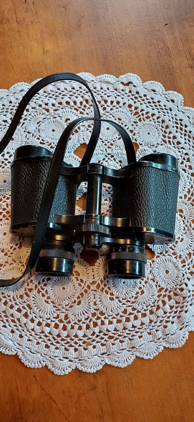 Binocoli: Champion 6x30 Feldstecher  vintage – Usato da Oberurnen venduto da Schwert64 1