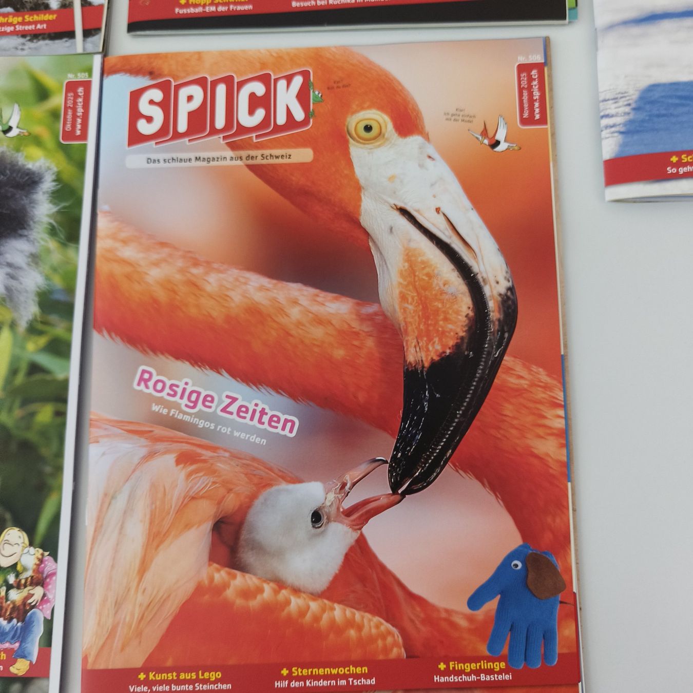 Riviste & Magazine: SPICK Magazin-Set (5 Stck) – Usato da Meilen venduto da FAVALLID 2