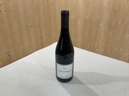 331 (38 Flaschen) Coteaux du Giennois 2013 Wein