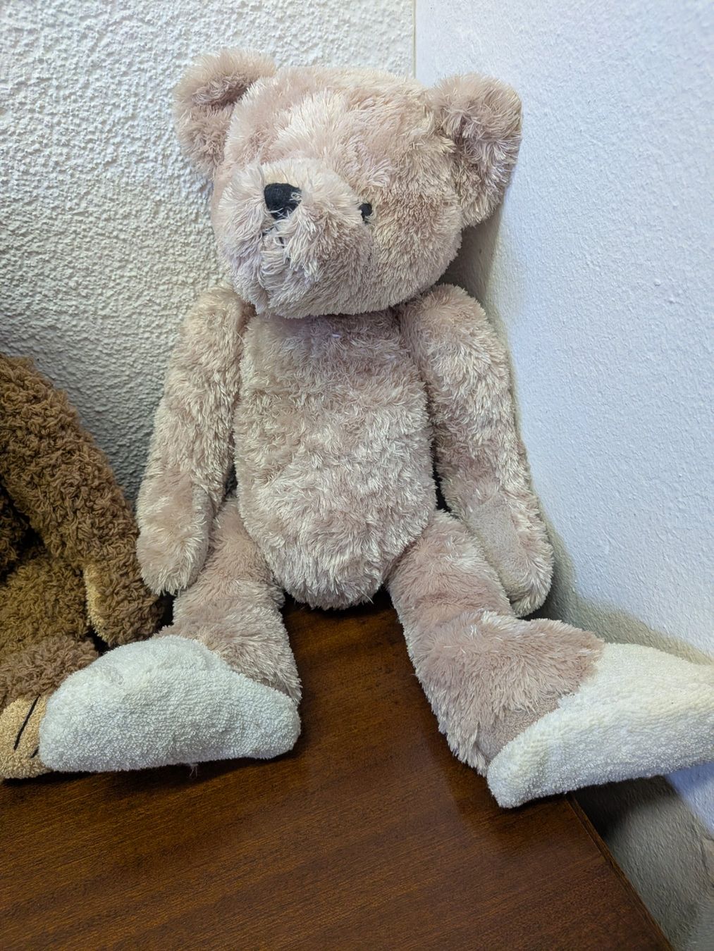 Steiff Spielzeuge: Steiff Teddy. Plüsch – Gebraucht aus Schönenwerd von kybi