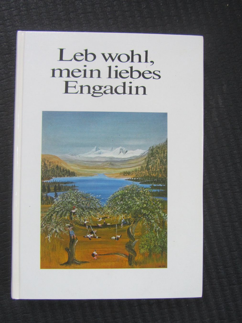 Libri: Leb wohl mein liebes Engadin – Usato da Seengen venduto da mikelele