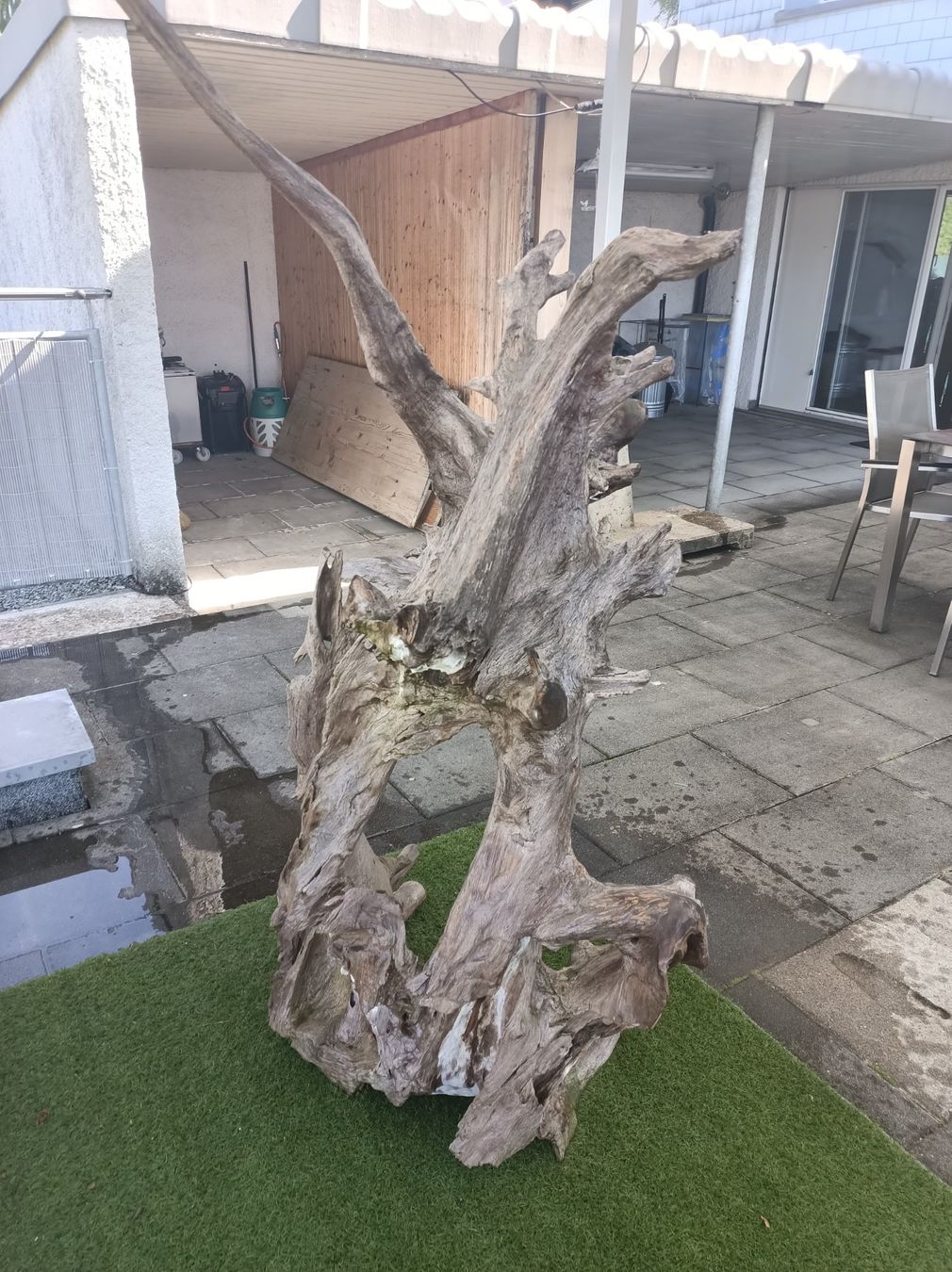 Holzartikel: Aquarium oder Terrarium Wurzel XXL – Gebraucht aus Mettmenstetten von Motoro66 1