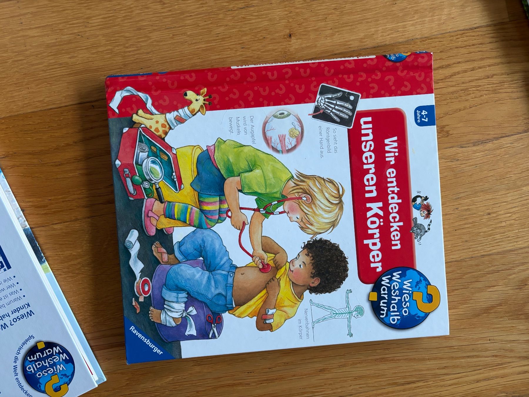 Libri: 2x wieso weshalb warum – Usato da Winterthur venduto da rtk_c8y6 1